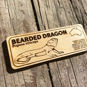Pu&ograve; includere: Targa rettangolare in legno con le parole "BEARDED DRAGON" e "Pogona vitticeps" incise. Include un'illustrazione di un drago barbuto e dettagli su habitat, dieta, comportamento, durata della vita, peso e lunghezza (40-60 cm).