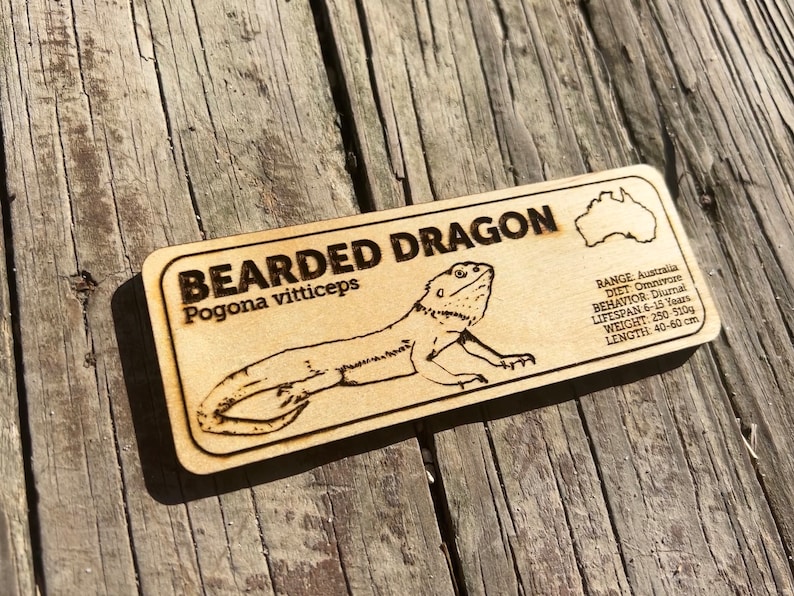 Pu&ograve; includere: Targa rettangolare in legno con le parole "BEARDED DRAGON" e "Pogona vitticeps" incise. Include un'illustrazione di un drago barbuto e dettagli su habitat, dieta, comportamento, durata della vita, peso e lunghezza (40-60 cm).