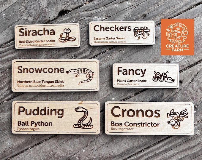 LARGE Custom Invert/reptile Enclosure Labels - ANY Species, ANY Common ...