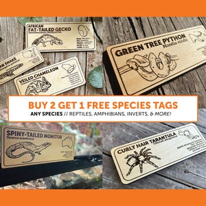 Buy 2 Get 1 FREE Zoological Species Sign | ANY SPECIES | Wooden Informational Tags Reptiles Frogs Lizards Amphibians Snakes, Inverts Custom