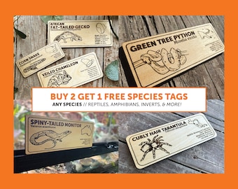 BUY 2 GET 1 FREE Species Tags // Wooden Zoo Vivarium Info Tags for Reptiles, Amphibians, Inverts, & More // Exotic Pets Snake Frog Spider