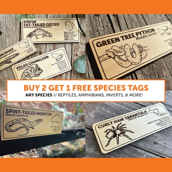 Buy 2 Get 1 FREE Zoological Species Sign | ANY SPECIES | Wooden Informational Tags Reptiles Frogs Lizards Amphibians Snakes, Inverts Custom