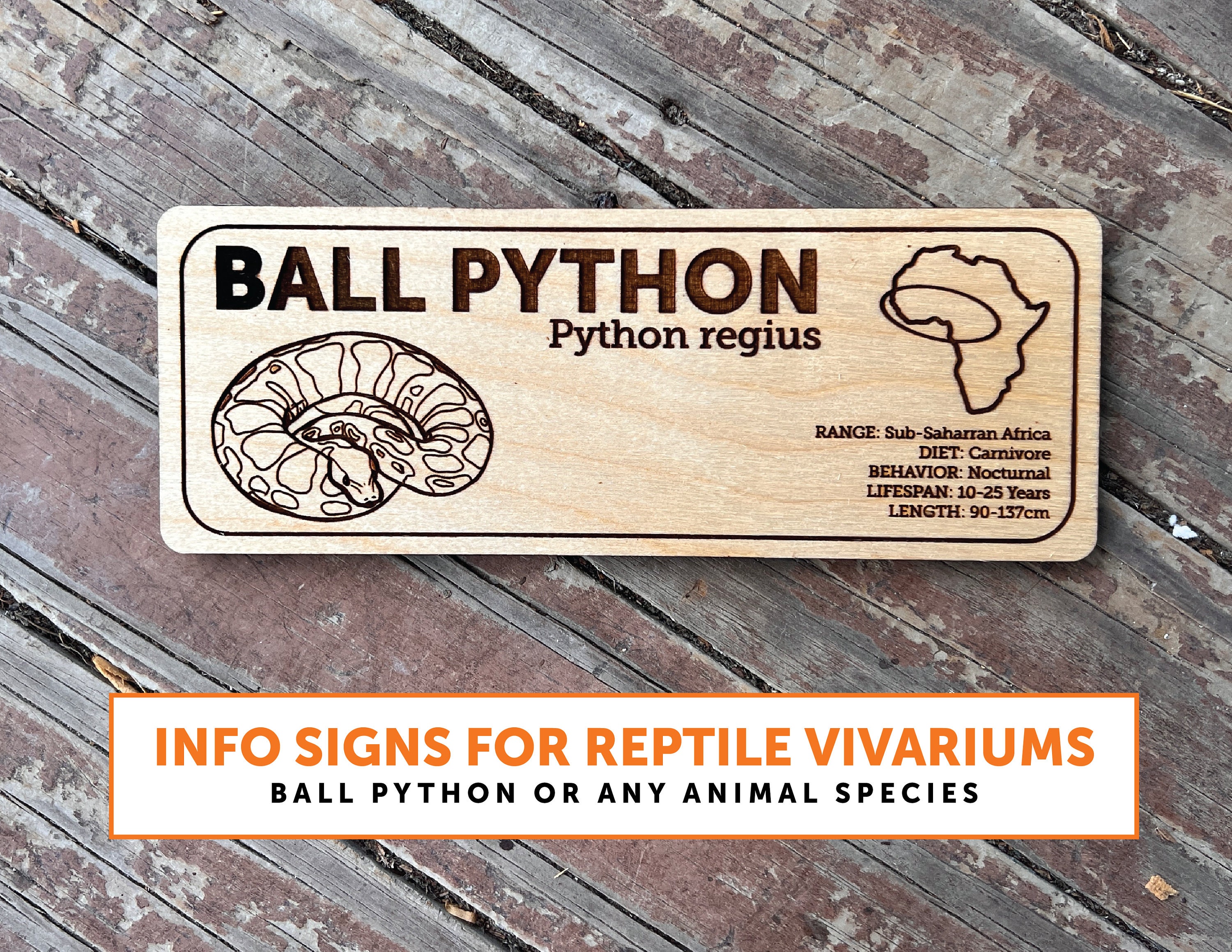 Zoo Exhibit Sign - Etsy