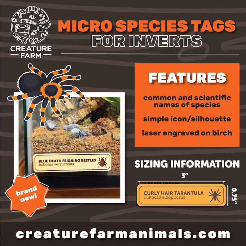 Custom Wooden Species Sign | Invertebrate Terrarium Label - Etsy