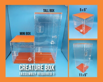 CREATURE BOXES // Little Habitats for Little Creatures // Terrarium for Jumping Spiders Mantids Tarantulas Inverts Bugs Micro Pets