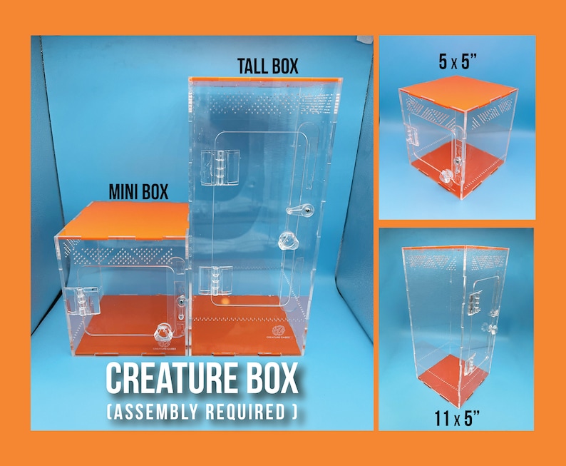 CREATURE BOXES // Little Habitats for Little Creatures // Terrarium for Jumping Spiders Mantids Tarantulas Inverts Bugs Micro Pets 