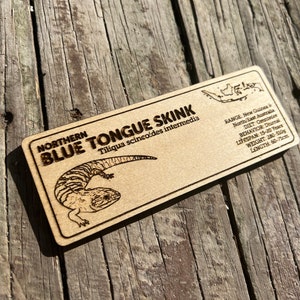 Pu&ograve; includere: Targa rettangolare in legno con la scritta "Northern Blue Tongue Skink" e un'illustrazione della lucertola. La targa include dettagli sull'areale, la dieta, il comportamento, la durata della vita, il peso (280-510g) e la lunghezza (60-71cm).