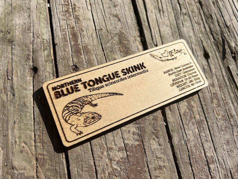 Pu&ograve; includere: Targa rettangolare in legno con la scritta "Northern Blue Tongue Skink" e un'illustrazione della lucertola. La targa include dettagli sull'areale, la dieta, il comportamento, la durata della vita, il peso (280-510g) e la lunghezza (60-71cm).