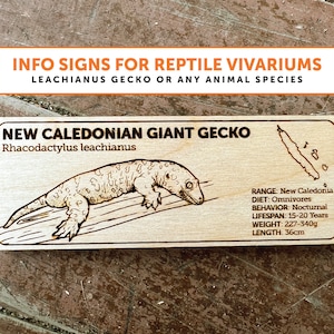 Leachianus Gecko Zoological Species Sign | ANY SPECIES | Wooden Informational Tags Reptiles Frogs Lizards Amphibians Snakes Inverts Custom