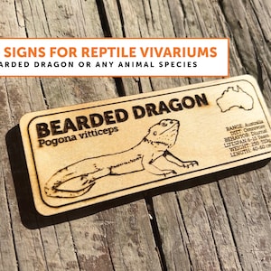 Bearded Dragon Zoological Species Sign | ANY SPECIES | Wooden Informational Tags Reptiles Frogs Lizards Amphibians Snakes, Inverts Custom
