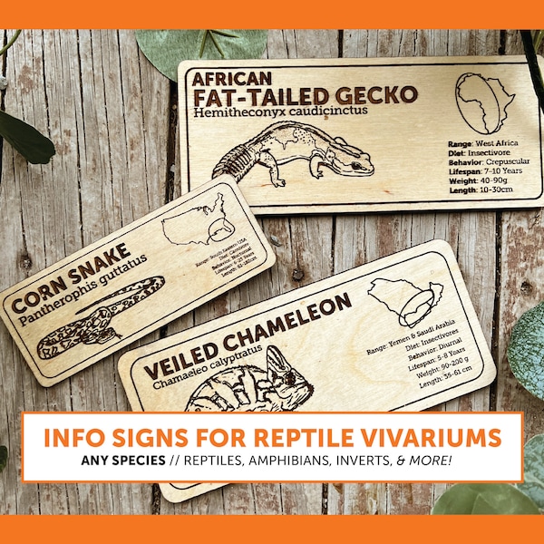 Zoological Species Signs for Creatures | ANY SPECIES | Wooden Informational Tags Reptiles Frogs Lizards Amphibians Snakes Inverts Custom All