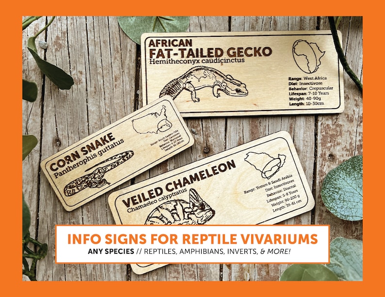 Laser-engraved wooden zoological species sign for reptile habitats, custom nameplate