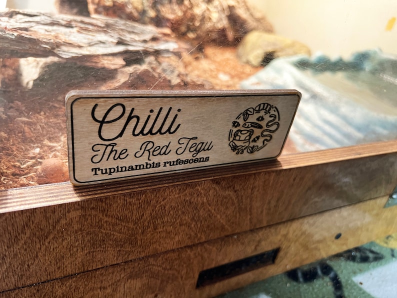Custom Vivarium Name Tags for Reptiles Amphibians Snakes Frogs Etsy
