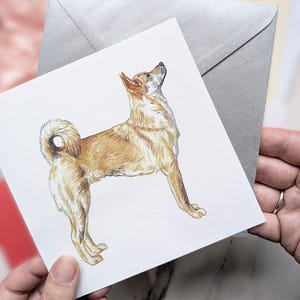 Korean Jindo - Spitz Dog Greeting Card / Blank Inside / Card from the Dog / For Groomers, Vets and Breed Lovers / Chindo Dog / Jindo-gyeon