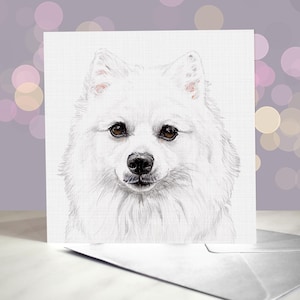 Wenskaart Japanse spitshond / Witte pluizige hond / Blanco binnenkant / Voor trimmers, dierenartsen en liefhebbers van rassen