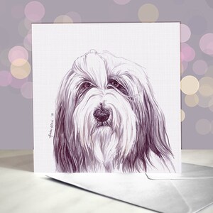 Bearded Collie Greeting Card - Blank Inside / Card from the Dog / Beardie Sheepdog / For Groomers, Vets and Breed Lovers