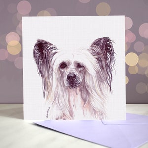 Biglietto d'auguri per cane crestato cinese - Interno vuoto / Biglietto del cane / Crestato senza pelo / Per toelettatori, veterinari e amanti della razza