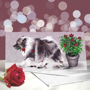 Tarjeta de felicitación de Keeshond - Variedad de tarjetas de aniversario - Tarjeta de "Te amo" para amantes de los perros - Divertido San Valentín de un perro - Tarjeta de Keeshond