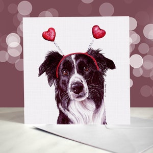 Border Collie - Variedad de tarjetas de aniversario - Tarjeta de "Te amo" para amantes de los perros - Divertida tarjeta de San Valentín de parte del perro - Tarjeta de perro pastor