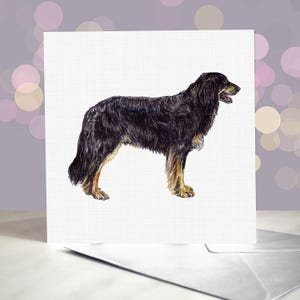 Hovawart ブラック＆ゴールド グリーティング カード / 内側は空白 / 犬からのカード / トリマー、獣医、犬愛好家向け
