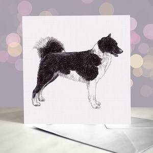 Carte de voeux pour chien esquimau canadien / Intérieur vierge / Carte du chien / Pour les toiletteurs, les vétérinaires et les amateurs de races