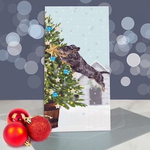 Drahthaardackel Weihnachtskarten / Wildschwein Dackel / Innenseite leer / Karte vom Weiner Hund / Festliche Jahreszeiten Grüße Daxie