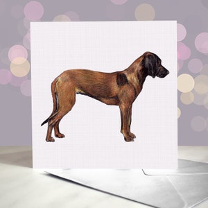Bayerischer Sennenhund Grußkarte / Deutscher Jagdhund / Innenseite leer / Karte vom BMH Hund / Hannoveraner Jagdhund / Hundemama