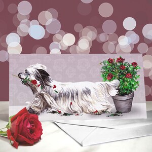 Tarjeta de Skye Terrier - Variedad de tarjetas de aniversario y San Valentín - Tarjeta de "Te amo" para los amantes de los perros terrier - Divertido San Valentín de un perro