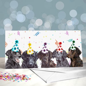 カーリーコーテッドレトリーバーの誕生日グリーティングカード / 犬からのカード / トリマー、獣医、犬愛好家向け