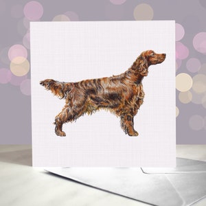Irish Red Setter - Grußkarte - Innenseite blanko / Karte vom Hund / Für Tierpfleger, Tierärzte und Rasseliebhaber
