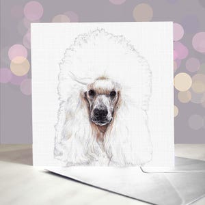Cartão de felicitações para poodles padrão - Poodles brancos, pretos e com cordão / Em branco por dentro / Cartão do cão / Para tosadores, veterinários e amantes da raça