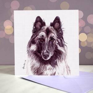 Belgische herder / Tervuren / wenskaart Duitse herder / blanco binnenkant / kaart van de hond / voor trimmers, dierenartsen en liefhebbers van rassen