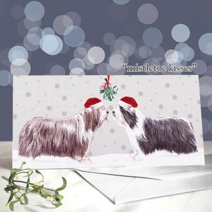 Bearded Collie Christmas Greeting Cards / Hairy Livestock Guardian / Herding Breed / Blank Inside / Card from the Dog / Holiday Greetings