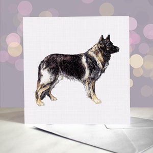 Biglietto d'auguri per il cane da pastore Shiloh / Interno vuoto / Biglietto del cane / Per toelettatori, veterinari e amanti della razza / Cane da pastore gigante