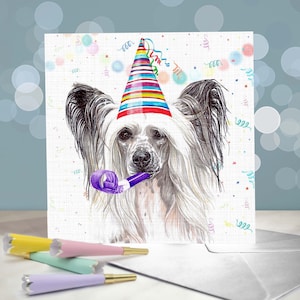 Chien chinois à crête avec gâteau carte de voeux d'anniversaire / Chien nu dans un chapeau de fête / houppette / Intérieur vierge / Carte du chien