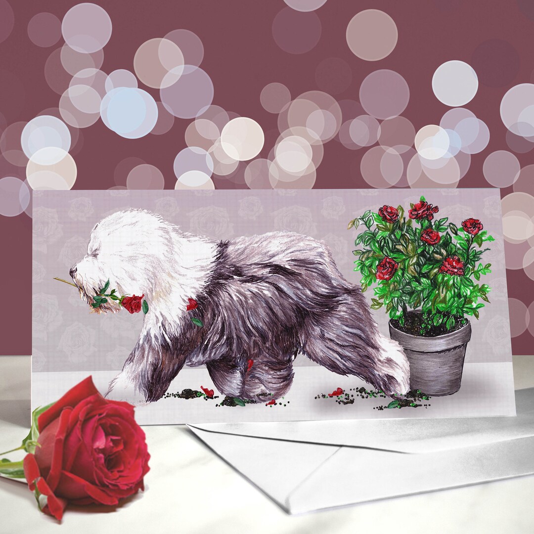 Personalised Old English Sheepdog Birthday Card By Have A Gander - View #3