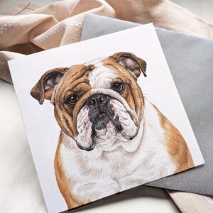 Bulldog Greeting Card from the Dog / Blank Notelet Card / For Groomers, Vets and Breed Lovers / Olde English Bulldogge