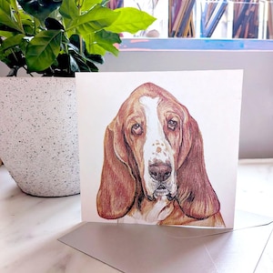 Basset Hound / Tri Colour Basset Greeting Card / Blank Inside / Card from the Dog / For Groomers, Vets and Breed Lovers