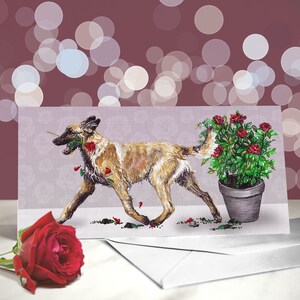 Pastor belga Laekenois - Variedad de tarjetas de aniversario y San Valentín - Tarjeta de "Te amo" para amantes de los perros - Divertido San Valentín de parte del perro