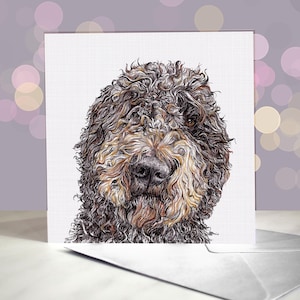 Wenskaart Spaanse waterhond / notitieboekje gekrulde hond / blanco binnenkant / cadeau voor jachthondmoeder / voor trimmers, dierenartsen en liefhebbers van rassen