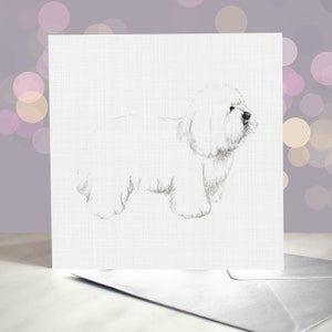 Coton de Tuléar-wenskaart / Royal White Dog of Madagascar / Blanco binnenkant / Kaart van de hond