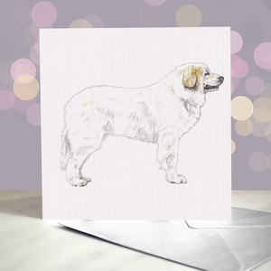 Pyrenäen Sennenhund Grußkarte / Vieh Hüter / Große Pyrenäen Karte / Innenseite leer / Karte vom Hund