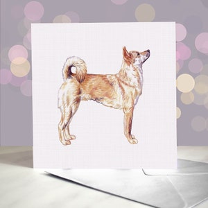 Jindo - Spitz Hund Grußkarte / Grusskarte / Innenseite blanko / Karte vom Hund / Für Tierpfleger, Tierärzte und Rasseliebhaber / Chindo Hund / Jindo-gyeon
