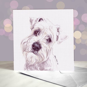 Miniature Schnauzer Greeting Card / Blank Inside / Card from the Dog / For Groomers, Vets and Breed Lovers / White / Pepper and Salt / Black