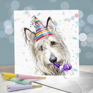 Cartes de voeux d'anniversaire de chien de berger de Picardie / Berger picard / amoureux des chiens de troupeau / intérieur vierge / carte du chien