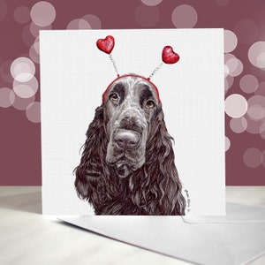 Tarjeta de felicitación de un Spaniel de campo - Variedad de tarjetas de aniversario y San Valentín - Tarjeta de "Te amo" para amantes de los perros - Divertido San Valentín de un perro -