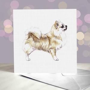 Long Hair Chihuahua Greeting Card / Blank Inside / Card from the Dog / For Groomers, Vets and Breed Lovers
