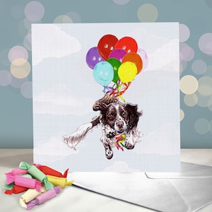 Biglietto di auguri di compleanno per Springer Spaniel / Cane da caccia da lavoro e da esposizione / Interno vuoto / Biglietto di auguri per la festa del cane