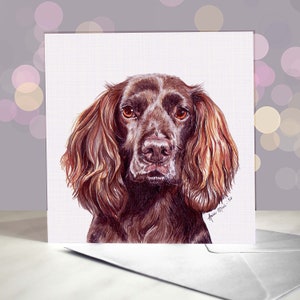 Carte de voeux Cocker - Cocker de travail / Intérieur vierge / Carte du chien / Pour les toiletteurs, les vétérinaires et les amateurs de races