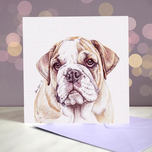 Biglietto d'auguri per Bulldog dal cane / Biglietto vuoto / Per toelettatori, veterinari e amanti della razza / Bulldog inglese antico